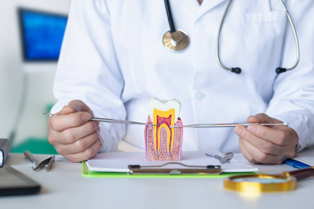 Best Pediatric Emergency Dentist in Sauk Rapids, MN